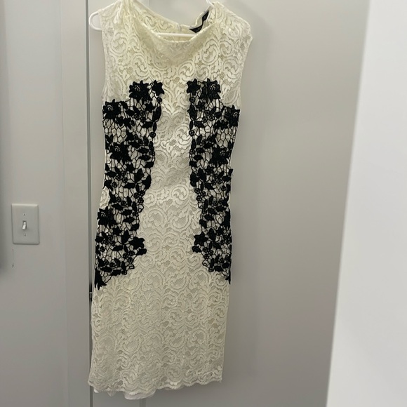 black and white lace dress plus size Black/White Ruffle Hanayome Lace Lace-Up Gothic Plus Size Lolita Jsk Dress (Long Version)